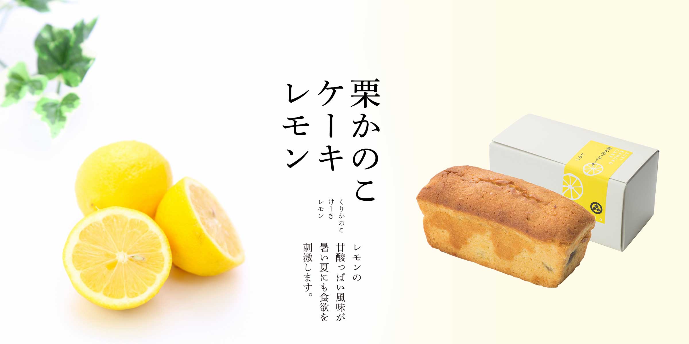 小布施堂 栗菓子の小布施堂